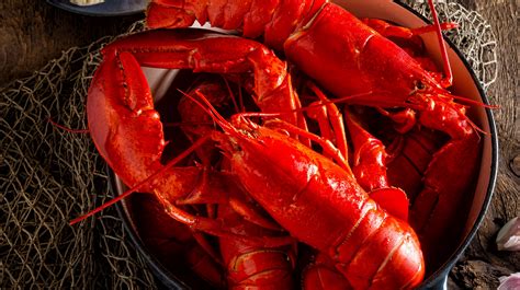 Red lopter - Red Lobster Colonie, NY170 Wolf Road Colonie, NY 12205Get directions. Find a different Red Lobster. Contact Us (518) 459-1040 Order Now. Hours of Operation - Dine-in ... 